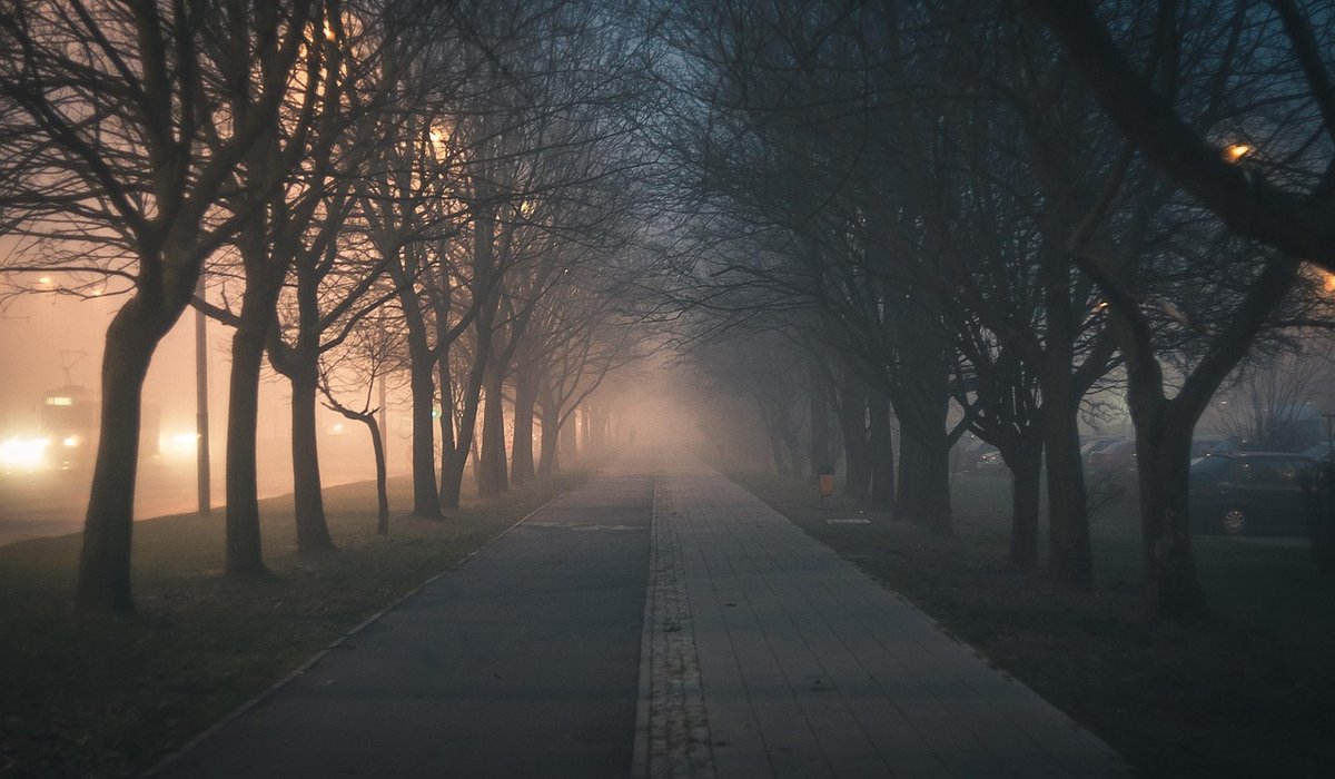 blog single post